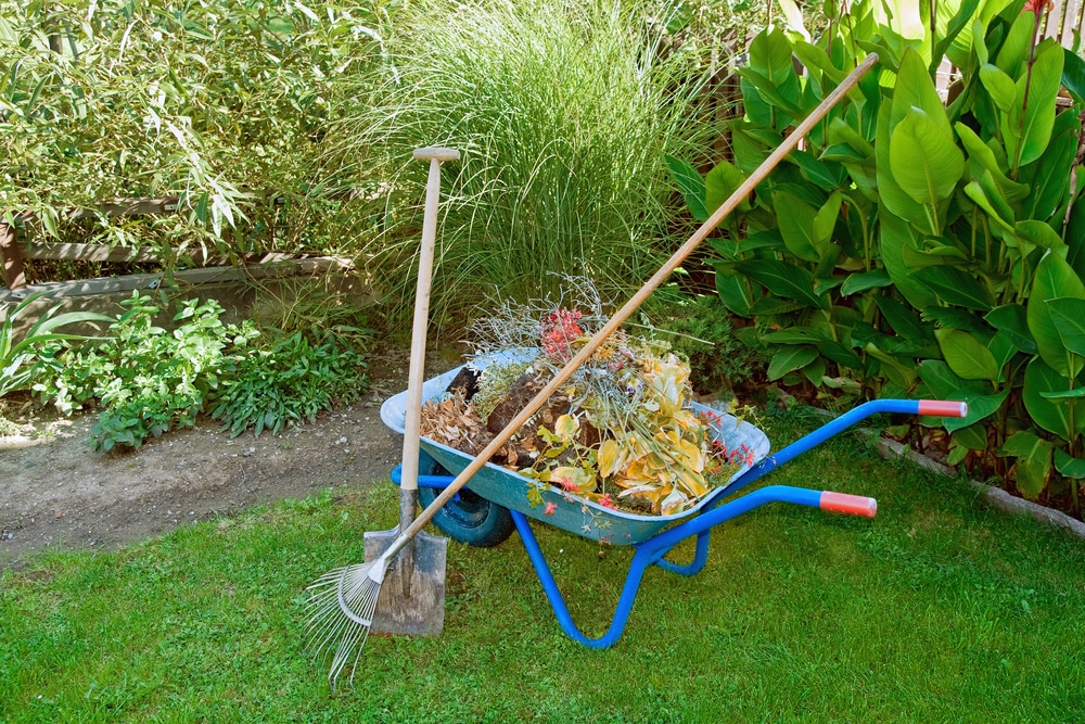 Yard Clean Up Services - Spring & Fall Lawn Clean-Up ...
